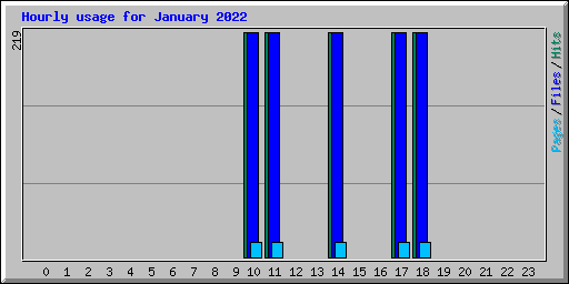Hourly usage for January 2022