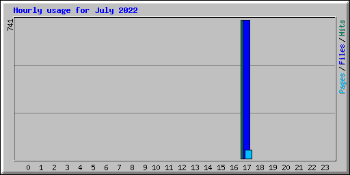 Hourly usage for July 2022