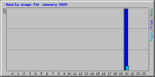 Hourly usage for January 2025
