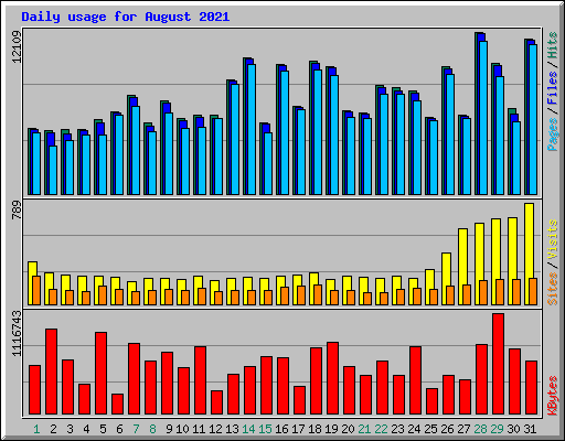 Daily usage for August 2021