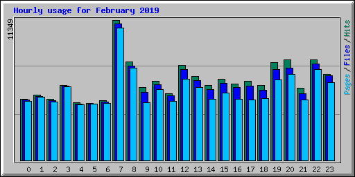 Hourly usage for February 2019