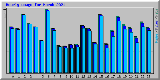 Hourly usage for March 2021