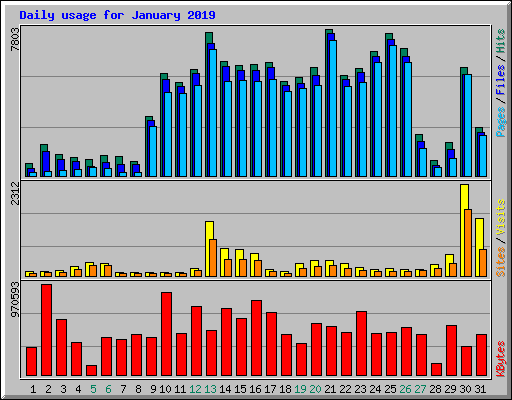 Daily usage for January 2019