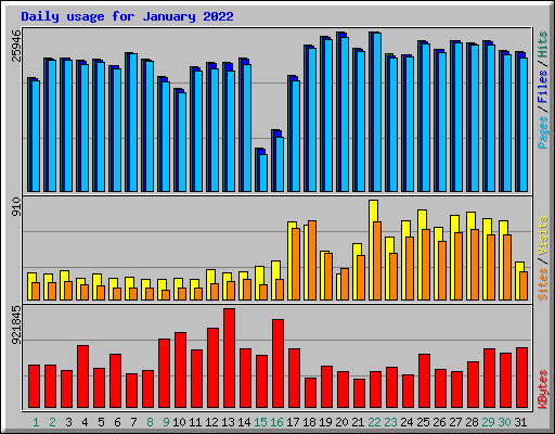 Daily usage for January 2022