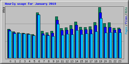 Hourly usage for January 2019