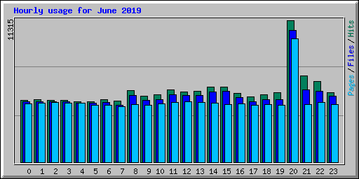 Hourly usage for June 2019