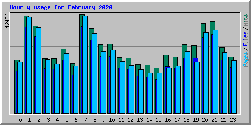 Hourly usage for February 2020