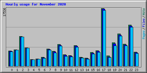 Hourly usage for November 2020