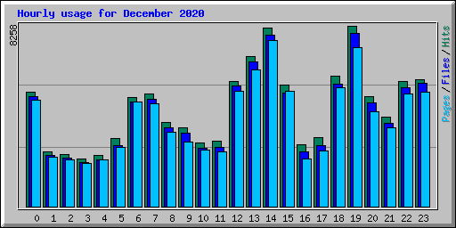 Hourly usage for December 2020